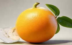 2025年最新柚子创意图片，有哪些惊艳设计？