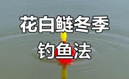 白露钓鱼，关键技巧有哪些？