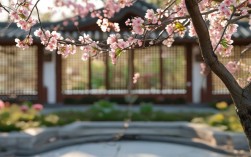 春晓的停顿技巧