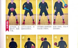 篮球技巧 书