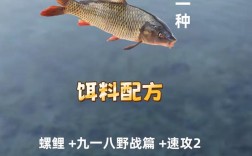 底钓鲤鱼，关键技巧有哪些？