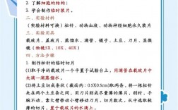 高中生物学习技巧