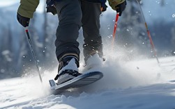 双脚雪橇滑雪技巧