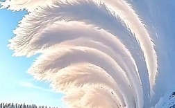 雪的创意图，如何拍出冬日童话感？