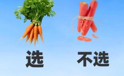 卖白菜表达技巧，卖白菜表达技巧有哪些