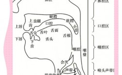 咽部发音技巧