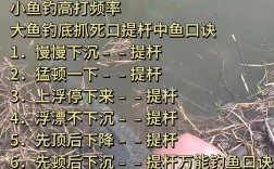 钓鱼吃口轻看漂技巧