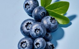 蓝莓创意，能玩出什么新花样？