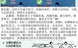 蛙泳腿怎么游才标准有力？