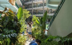 校园创意如何点亮青春？