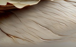 莲藕创意图片怎么拍出惊艳感？