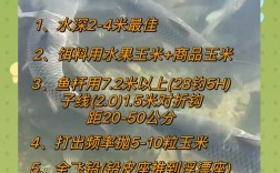 韭菜钓草鱼技巧，韭菜钓草鱼技巧口诀