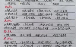 如何掌握语文词语搭配技巧？