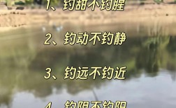 秋末钓鲤鱼技巧