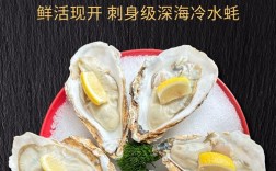 生蚝创意广告语，生蚝创意广告语大全