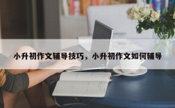 小升初作文辅导技巧，小升初作文如何辅导
