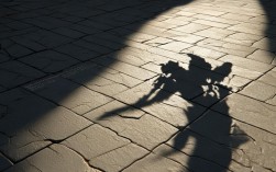 创意影子照如何玩转光影与想象？