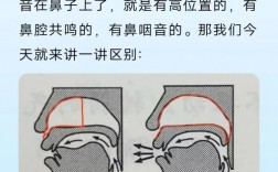 鼻音和边音的发音技巧，鼻音和边音的发音技巧图解