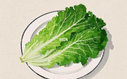 生菜也能画画？创意画怎么画？