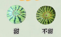 云帆水果技巧有哪些实用方法能让水果保鲜更久、口感更好？