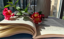 创意拍书页，拍书页图片