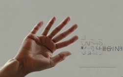 AI时代，手的图形创意如何突破传统边界？