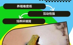 捕青蛙有哪些实用技巧？