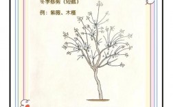 关于植树的技巧，关于植树的技巧和方法