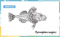 鱼手绘创意图片有哪些独特灵感？