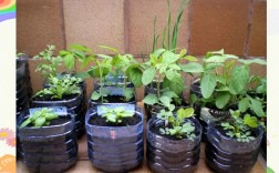 废旧油桶变废为宝？创意图片灵感何来？