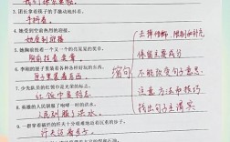 技巧纯熟写句子