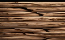 创意干树枝，今年秋冬家居新宠还是昙花一现？