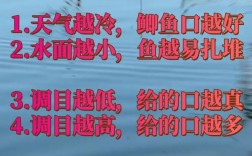 立冬水库钓鱼，这些技巧能让你爆护吗？