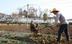 人工翻地有哪些实用技巧？