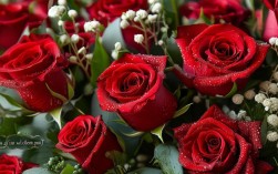 情人节创意花束有哪些独特又走心的设计灵感？