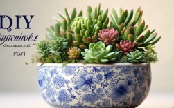 DIY创意多肉花盆，新手也能轻松做吗？