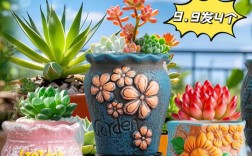 多肉创意花盆图片