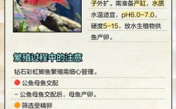 鱼塘配对有何高效技巧？