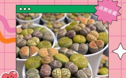 屁股的养殖技巧