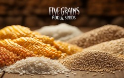 五谷杂粮创意拍摄