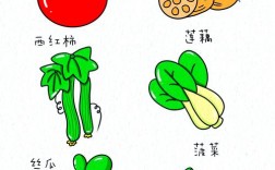 果蔬创意简笔画图片大全，如何用简单线条画出逼真又有趣的果蔬形象？
