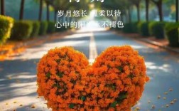 创意早安图片，如何唤醒每日灵感？