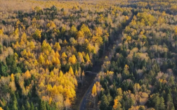 五花山朗读技巧，五花山朗读技巧视频