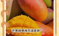 芒果怎么摘才安全又高效？