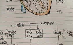 心脏绘画图创意