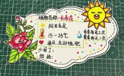 鲜花养护卡技巧有哪些？