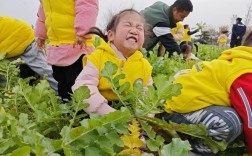 拔萝卜古筝技巧