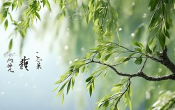 柳字创意设计有哪些独特的设计灵感？