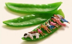 微创意摄影如何拍出独特视觉？