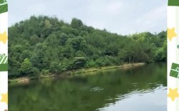 仲秋阴天钓鱼技巧